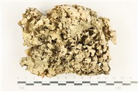 登錄號:L00004341藏品圖，第1張