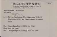 登錄號:L00004342藏品圖，第2張