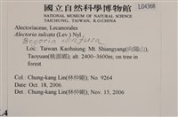 登錄號:L00004368藏品圖，第2張