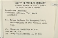 登錄號:L00004380藏品圖，第2張