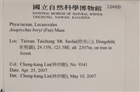 登錄號:L00004400藏品圖，第2張