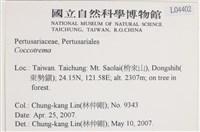 登錄號:L00004402藏品圖，第2張