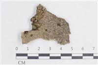 登錄號:L00004402藏品圖，第1張