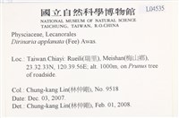 扁平黑囊基衣藏品圖，第2張