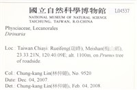 登錄號:L00004537藏品圖，第2張