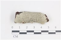 登錄號:L00004539藏品圖，第1張