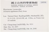 扁平黑囊基衣藏品圖，第2張