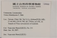 喜馬拉雅菘蘿藏品圖，第2張