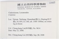 登錄號:L00004803藏品圖，第2張