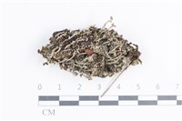 登錄號:L00004803藏品圖，第1張