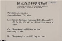 登錄號:L00004855藏品圖，第2張