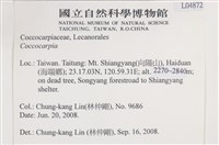 登錄號:L00004872藏品圖，第2張