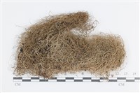 登錄號:L00004981藏品圖，第1張