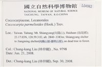 登錄號:L00004982藏品圖，第2張