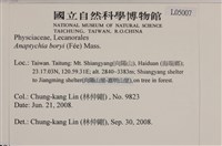 登錄號:L00005007藏品圖，第2張