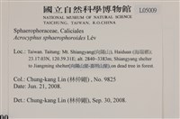 登錄號:L00005009藏品圖，第2張