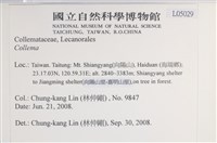 登錄號:L00005029藏品圖，第2張
