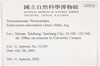 登錄號:L00005033藏品圖，第2張