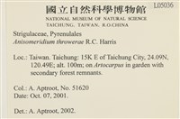 登錄號:L00005036藏品圖，第2張
