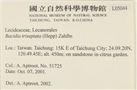 登錄號:L00005044藏品圖，第2張