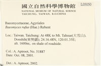 登錄號:L00005050藏品圖，第2張