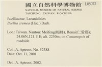 登錄號:L00005072藏品圖，第2張