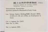 登錄號:L00005073藏品圖，第2張