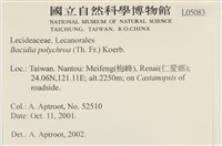 登錄號:L00005083藏品圖，第2張