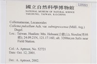 登錄號:L00005093藏品圖，第2張