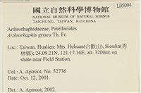 登錄號:L00005094藏品圖，第2張