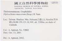 登錄號:L00005101藏品圖，第2張