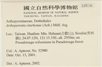 登錄號:L00005116藏品圖，第2張