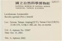 登錄號:L00005117藏品圖，第2張