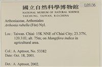 登錄號:L00005136藏品圖，第2張