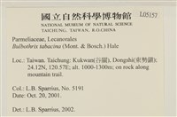 登錄號:L00005157藏品圖，第2張