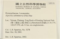 登錄號:L00005170藏品圖，第2張