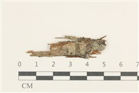 登錄號:L00005188藏品圖，第1張