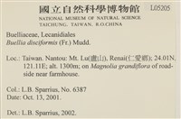 登錄號:L00005205藏品圖，第2張