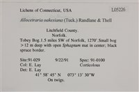 登錄號:L00005226藏品圖，第2張