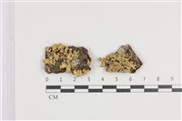 登錄號:L00005226藏品圖，第1張