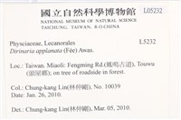 扁平黑囊基衣藏品圖，第2張