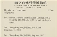 登錄號:L00005246藏品圖，第2張