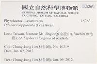 扁平黑囊基衣藏品圖，第2張