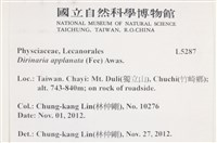 扁平黑囊基衣藏品圖，第2張