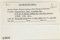 登錄號:L00005432藏品圖，第2張