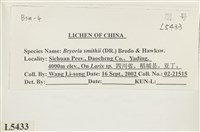 登錄號:L00005433藏品圖，第2張