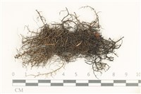 登錄號:L00005433藏品圖，第1張