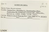 登錄號:L00005434藏品圖，第2張