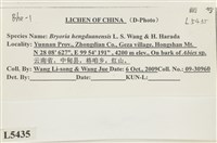 登錄號:L00005435藏品圖，第2張