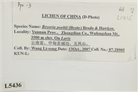 登錄號:L00005436藏品圖，第2張